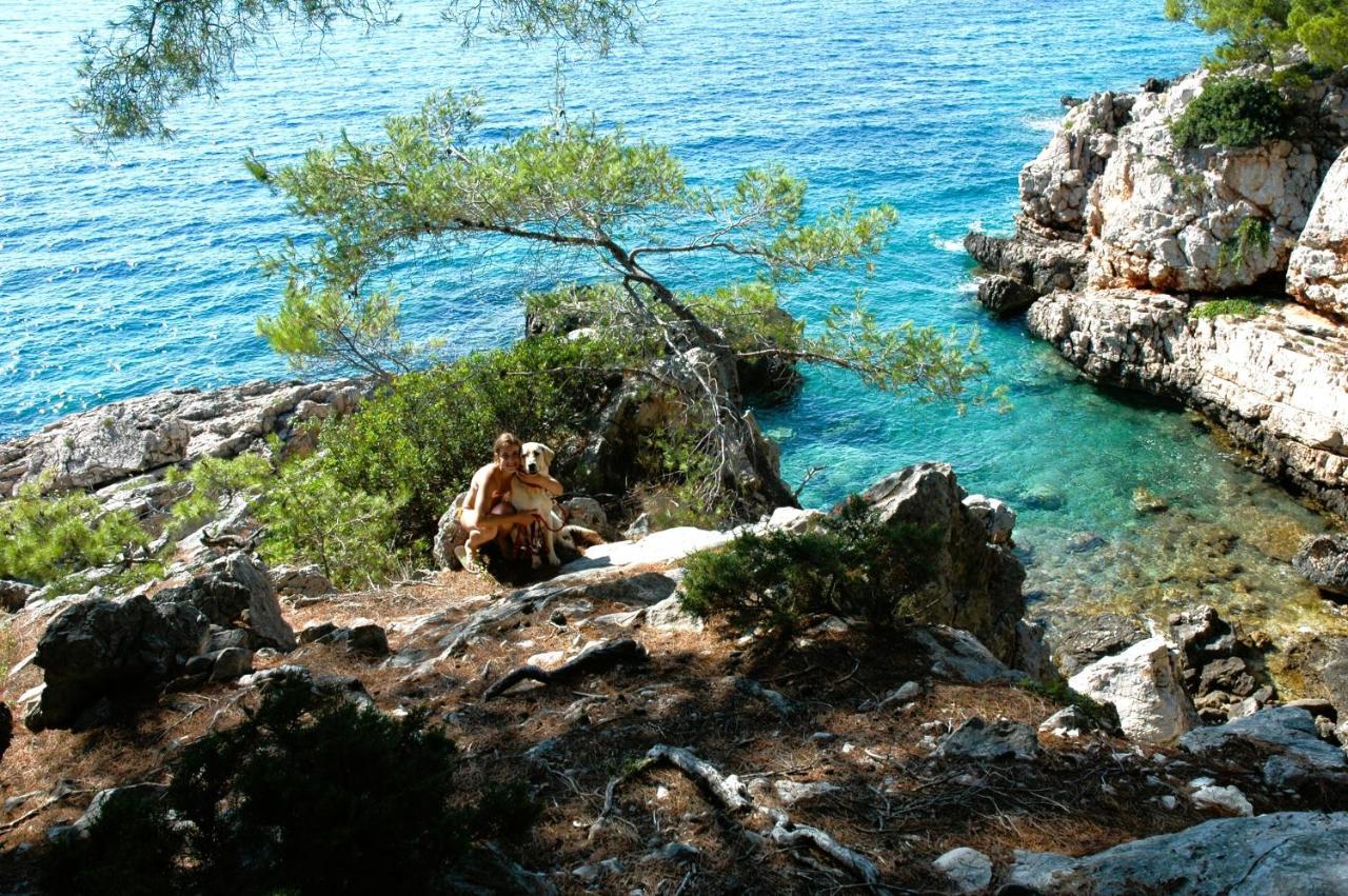 Casa Naranja Croatia Daire Vela Luka Dış mekan fotoğraf