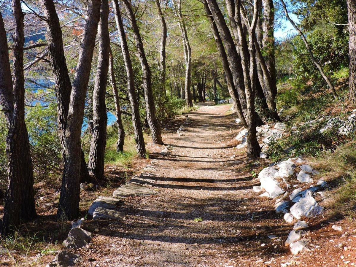 Casa Naranja Croatia Daire Vela Luka Dış mekan fotoğraf